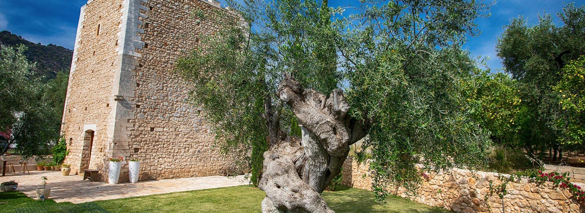 torresantamaria it home 014