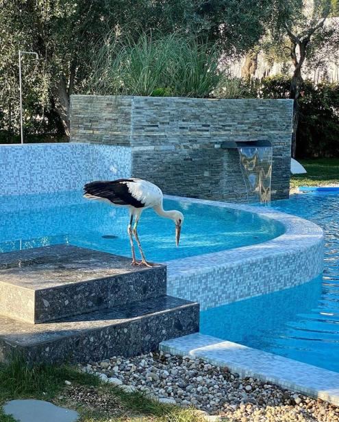 torresantamaria en resort-mattinata-gargano-en 019